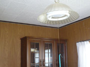 �m���{�H�O ����